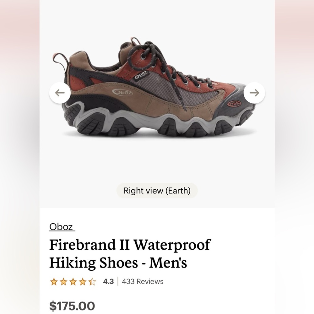Oboz  Firebrand II Waterproof Hiking Shoes - Men's